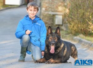 A1K9 family protection pets