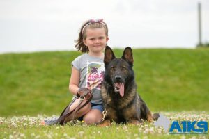 A1K9 family protection pets