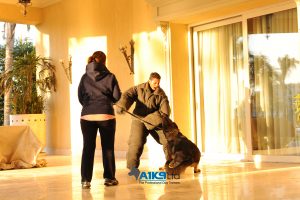 a1k9 family protection dog