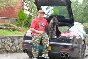 celebrity protection dogs
