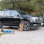 quintessential protection services