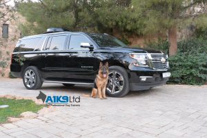 quintessential protection services
