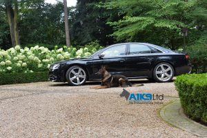 quintessential vehicle protection